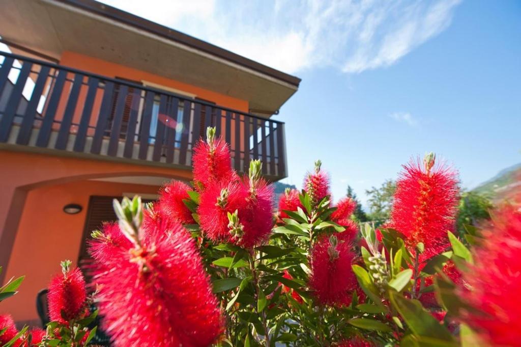 Apartament Casa Martinelli Torbole Sul Garda Zewnętrze zdjęcie